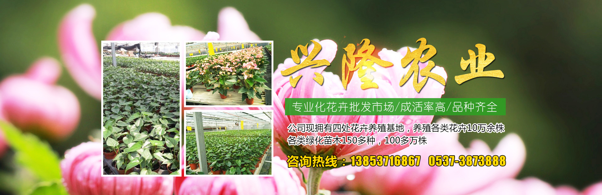 濟(jì)寧市眾力礦山設(shè)備制造有限公司